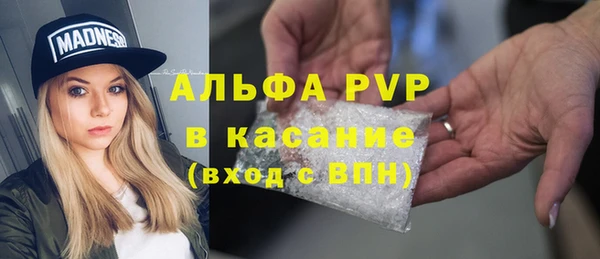 гидра Струнино