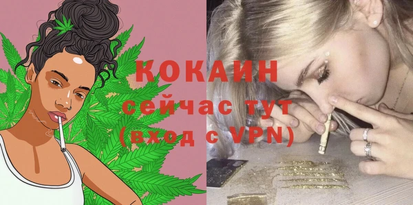 индика Белокуриха