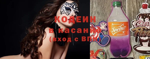 индика Белокуриха