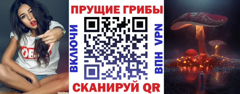 Псилоцибиновые грибы мухоморы Обь